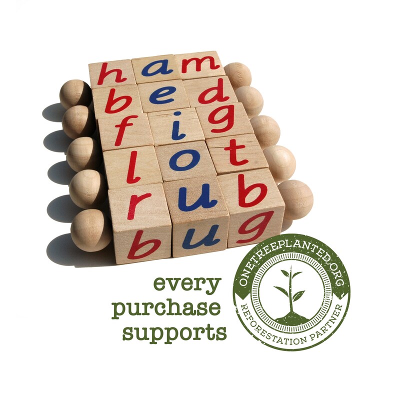 The Original Montessori Phonetic Reading Blocks an Eco Friendly Educational Toy Language Work