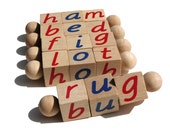 Montessori Phonetic Reading Blocks: CVC Word Toy for Preschool Readers