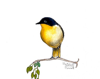 Original paintings, original watercolor, gallery wall art, bird art