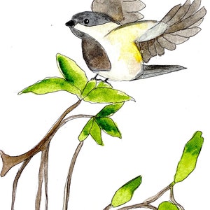 Original one of a kind watercolor, Minimalist decor, original watercolor, bird painting, anniversary gift image 3
