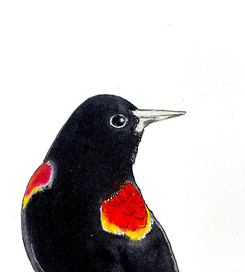 One-of-a-kind, original black bird watercolor painting, zen decor image 2