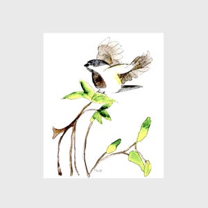 Impresiones de acuarela de aves, pintura de aves de arte natural