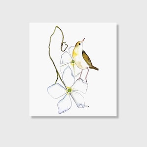 Bird art, botanical art prints