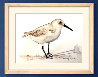Piping Plover Beach Art Print- coastal decor-seashore wall art