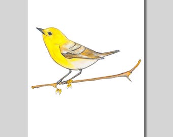 キイロアメリカムシクイの水彩画 – 鳥の壁アート - Etsy 日本