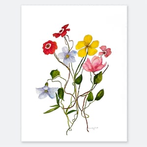 Botanical watercolor prints, colorful floral wall art