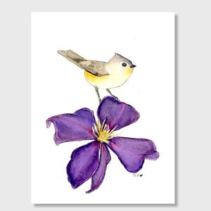 Bird art, botanical prints