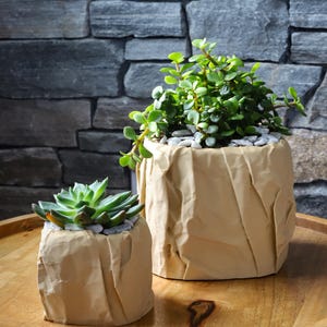 May include: Two beige paper bag-style planters, one large and one small, each holding a succulent plant. The plants have green leaves and are surrounded by small white stones. The planters sit on a wooden table against a stone wall.