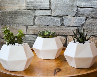 Keystone Planter - Modern succulent planter, 12 colors