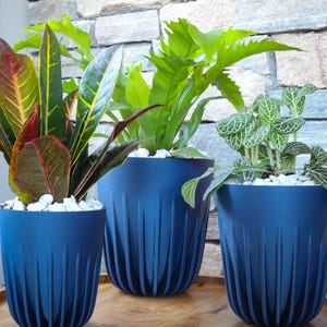 May include: Three navy blue decorative planters with textured vertical lines, each filled with vibrant green plants and white pebbles. The planters sit on a wooden tray, creating a stylish indoor garden display.