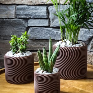 May include: Three brown, wave-patterned planters of varying sizes, each filled with greenery and white pebbles. The plants include a jade plant, a snake plant, and a palm. The planters sit on a wooden tray against a stone wall.
