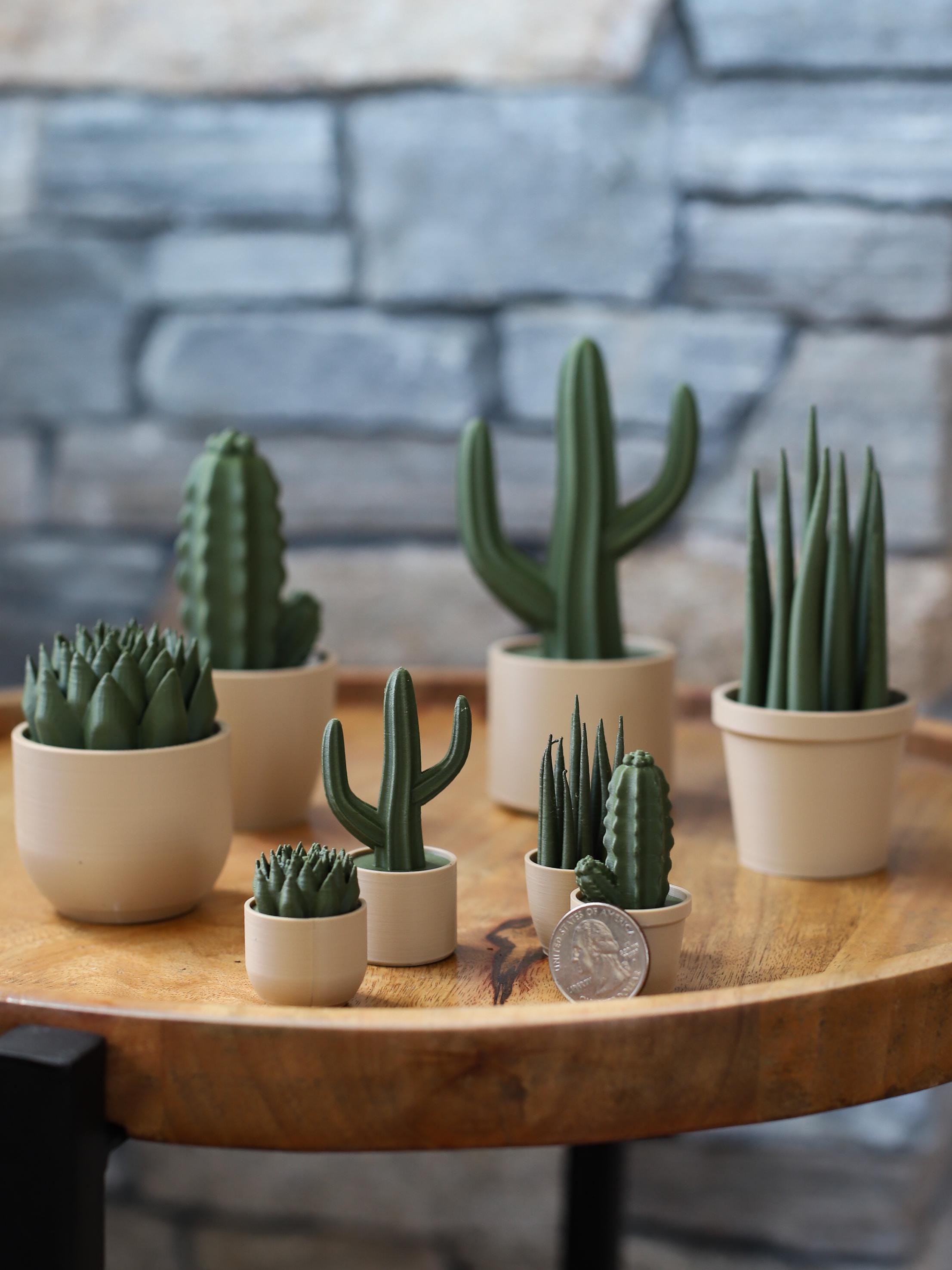 Small Containers for Succulents - Etsy