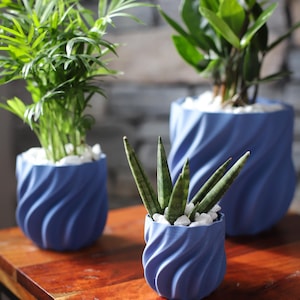 May include: Three blue, spiral-textured planters with various green plants and white pebbles. The planters are arranged on a wooden surface. The plants include a palm-like plant, a ZZ plant, and a snake plant.