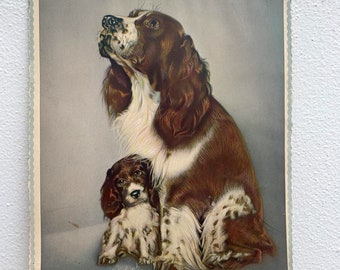 Litografía vintage de Springer Spaniels, arte canino de Llo Kopland (8" x 10")