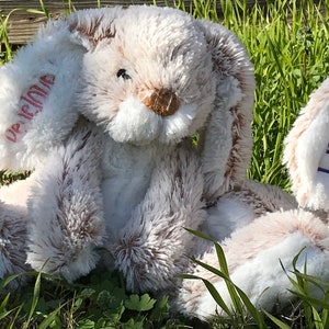 Op de afbeelding: Zachte, pluche konijnenknuffels in een grasrijke omgeving. De konijnen zijn voornamelijk cr&egrave;mekleurig met bruine accenten op hun oren en neuzen. E&eacute;n oor heeft de naam "Decline" in roze geborduurd, en een ander de naam "Linus" in blauw geborduurd.