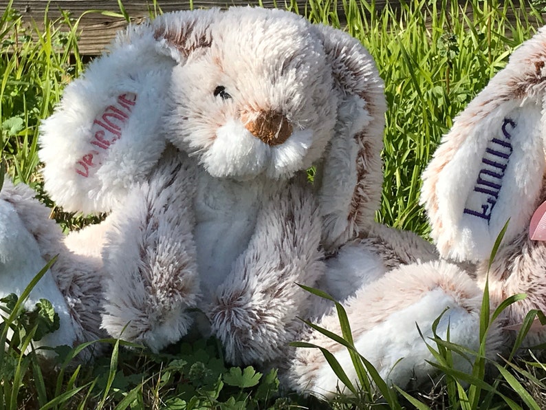 Op de afbeelding: Zachte, pluche konijnenknuffels in een grasrijke omgeving. De konijnen zijn voornamelijk cr&egrave;mekleurig met bruine accenten op hun oren en neuzen. E&eacute;n oor heeft de naam "Decline" in roze geborduurd, en een ander de naam "Linus" in blauw geborduurd.