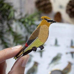 May include: Embroidered patch of a bird with yellow, brown, black, and red details. The bird has a crest and is perched on a light green and yellow body. The patch is held by a hand.