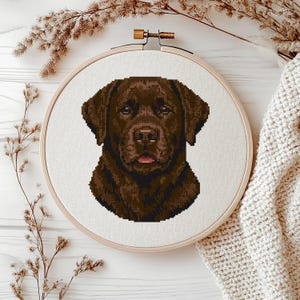 Op de afbeelding: Kruissteekborduurwerk van het gezicht van een chocolade Labrador Retriever, omlijst in een houten hoepel. De vacht van de hond is diepbruin, met een roze tong. De achtergrond is witte stof.