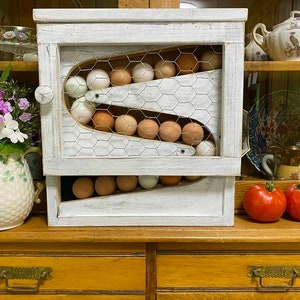 Everything Organizer Collection Egg Holder with Drawer