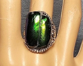1 Vintage Scarab RING Natural Beetle Wing Ring Iridescent Colors Blue,Green,  Ornate Raised Sliver Bead Ring Bug Unisex Genuine Beetle Wings