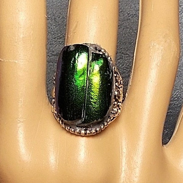 1 Vintage Scarab RING Natural Beetle Wing Ring Iridescent Colors Blue,Green,  Ornate Raised Sliver Bead Ring Bug Unisex Genuine Beetle Wings