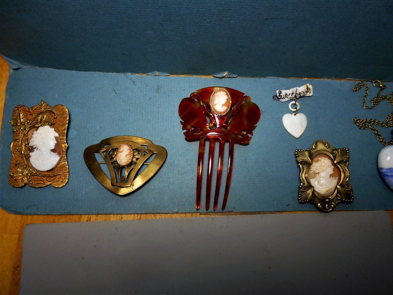 Carved Shell Cameo Goddess FLORA w 7 Flowers 2 34 1890 C Clasp One of a Kind Gorgeous 249.90 1900S CAMEO Sash Pin Art Deco Geometric