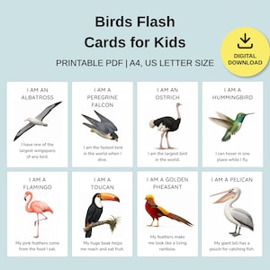 Può includere: Un set di otto flashcard educative intitolate Birds Flash Cards for Kids, con illustrazioni di un albatro, falco pellegrino, struzzo, colibrì, fenicottero, tucano, fagiano dorato e pellicano con testo descrittivo per ciascuno.