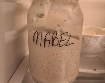 May include: A clear glass jar filled with a beige, bubbly sourdough starter. The jar has a green and white checkered lid and the name MABEL is written in black marker on the front of the glass. The contents appear thick and active with bubbles.