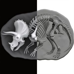May include: A detailed 3D rendering of a Triceratops skeleton fossil. The fossil is depicted in shades of gray and white, with the skull and horns prominently displayed. The background is split, with a black and white gradient.