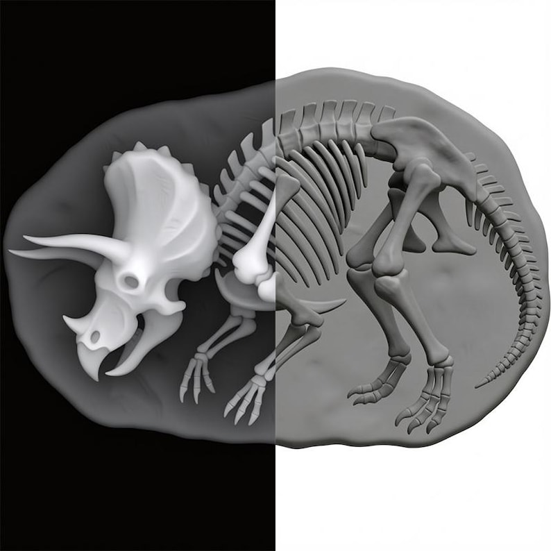 Fossil Depth Triceratops Fossil Depth Map, Dinosaur Fossil,3d Laser Engraving PNG ...