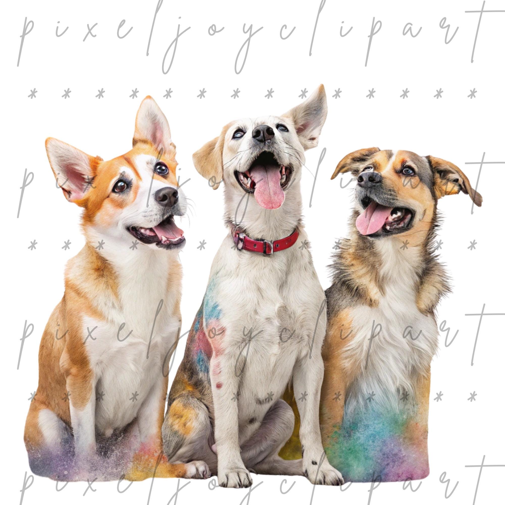 Dog Clipart PNG Bundle, Funny Cartoon Pets, 300 Dpi - Etsy