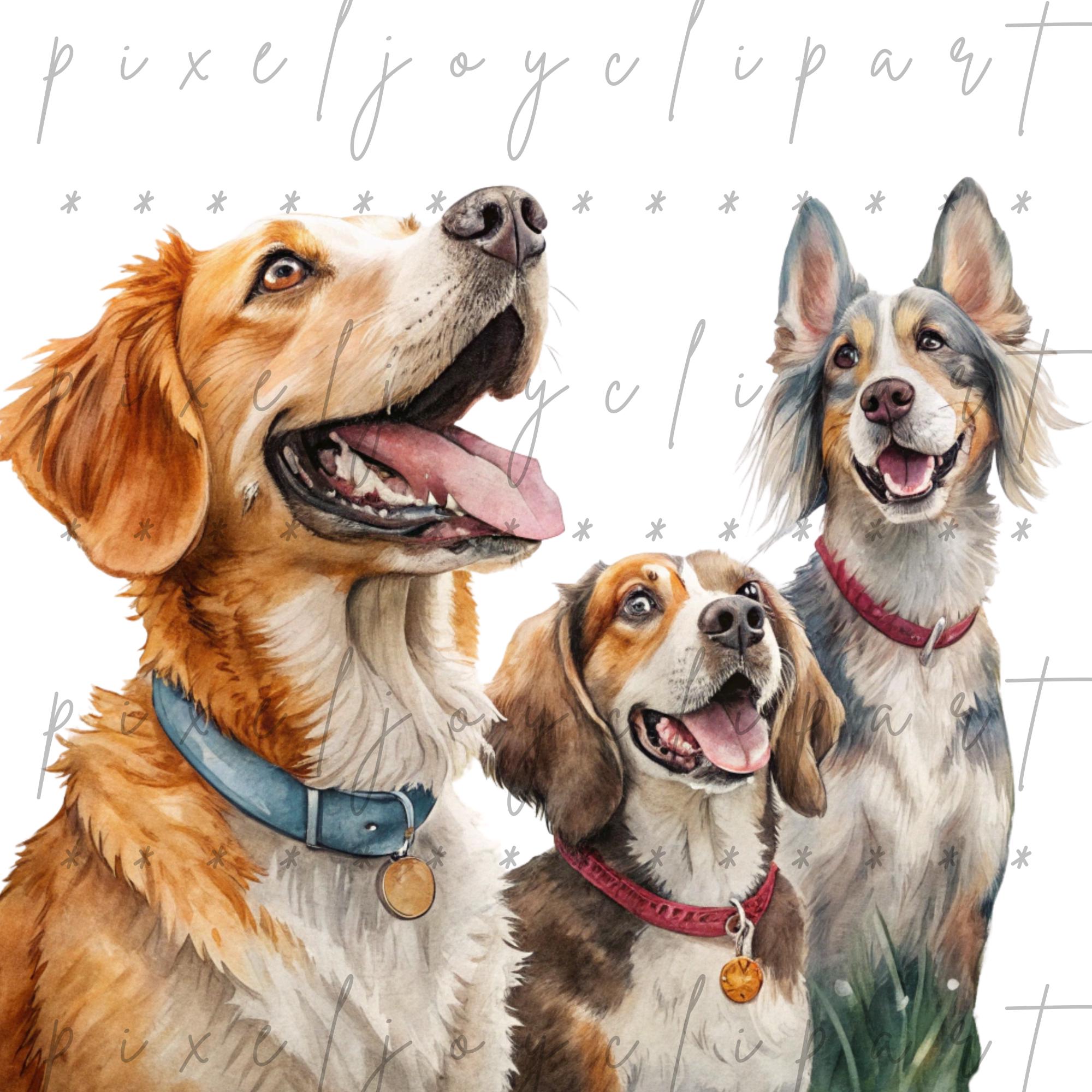 Dog Clipart PNG Bundle, Funny Cartoon Pets, 300 Dpi - Etsy
