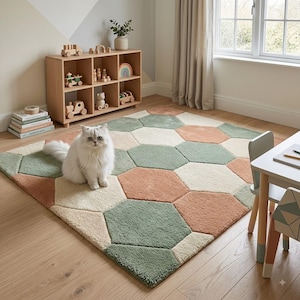 May include: A rectangular area rug featuring a geometric pattern of interlocking hexagons in muted shades of sage green, terracotta orange, and cream. The rug has a thick, plush texture and is positioned on a light-colored wooden floor.