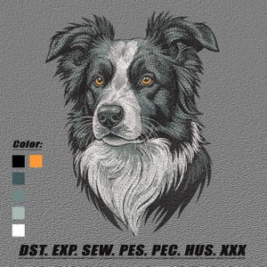 May include: Embroidered portrait of a Border Collie dog, featuring detailed stitching in black, white, and gray. The dog has amber eyes and a fluffy white chest. The image includes a color palette and text: DST. EXP. SEW. PES. PEC. HUS. XXX.