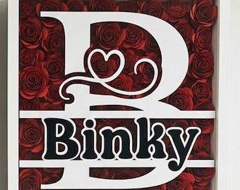 May include: A framed artwork featuring a white letter "D" with a heart detail, and the name "Binky" in black, set against a backdrop of red paper roses. The artwork is encased in a white square frame.