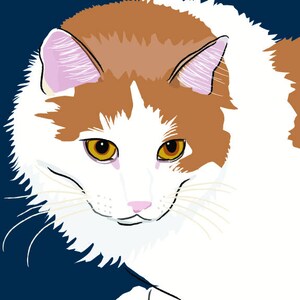 May include: A white and orange cat with yellow eyes looking directly at the camera. The cat has a pink nose and white whiskers.