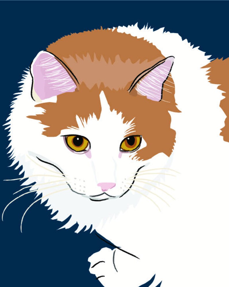 May include: A white and orange cat with yellow eyes looking directly at the camera. The cat has a pink nose and white whiskers.