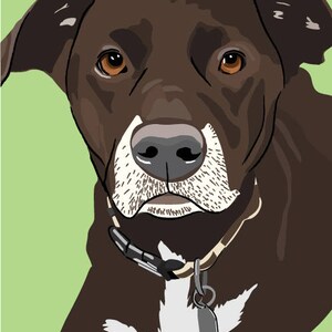 CUSTOM portrait of your pet, dog drawing, cat drawing,pet drawing,pet portrait in pop art style- DIGITAL DOWNLOAD image 8