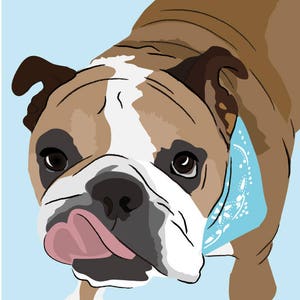 May include: A brown and white bulldog with a blue bandana around its neck is sticking its tongue out. The dog is looking at the camera with a playful expression.