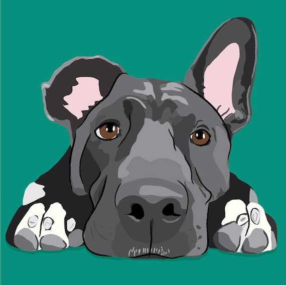 CUSTOM portrait of your pet, dog drawing, cat drawing,pet drawing,pet portrait in pop art style- DIGITAL DOWNLOAD