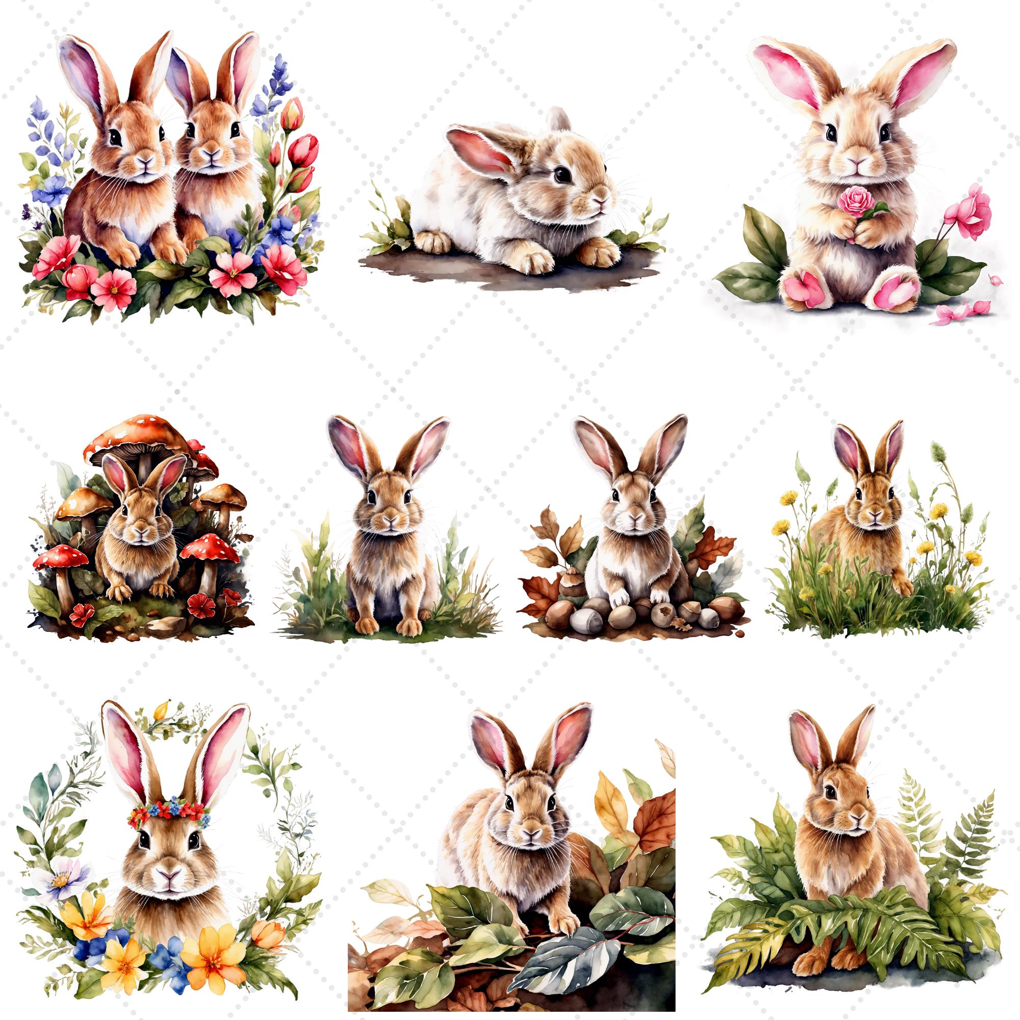 Woodland Rabbits Clipart Bundle, 34 Bunny Watercolor PNG | Digital ...