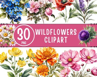 May include: Watercolor clipart featuring a variety of wildflowers, including blue forget-me-nots, pink roses, and a vibrant red poppy. The image includes a banner with the text "30 Wildflowers Clipart" in white letters on a pink background.