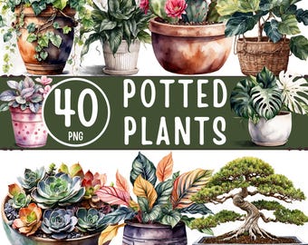 Potted Plants Clipart PNG Bundle - Watercolor Houseplants & Succulents | 40 Botanical PNG Files