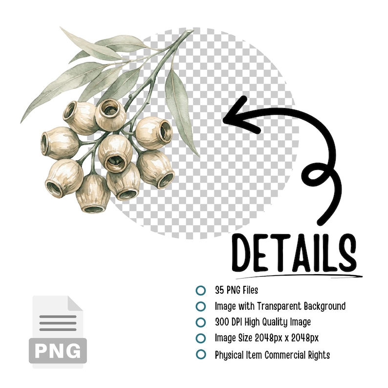 Watercolor Eucalyptus Clipart Bundle – Greenery PNG Floral Botanical ...