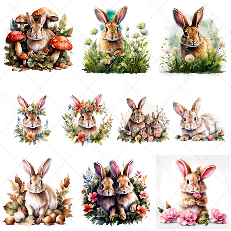 Woodland Rabbits Clipart Bundle, 34 Bunny Watercolor PNG | Digital ...