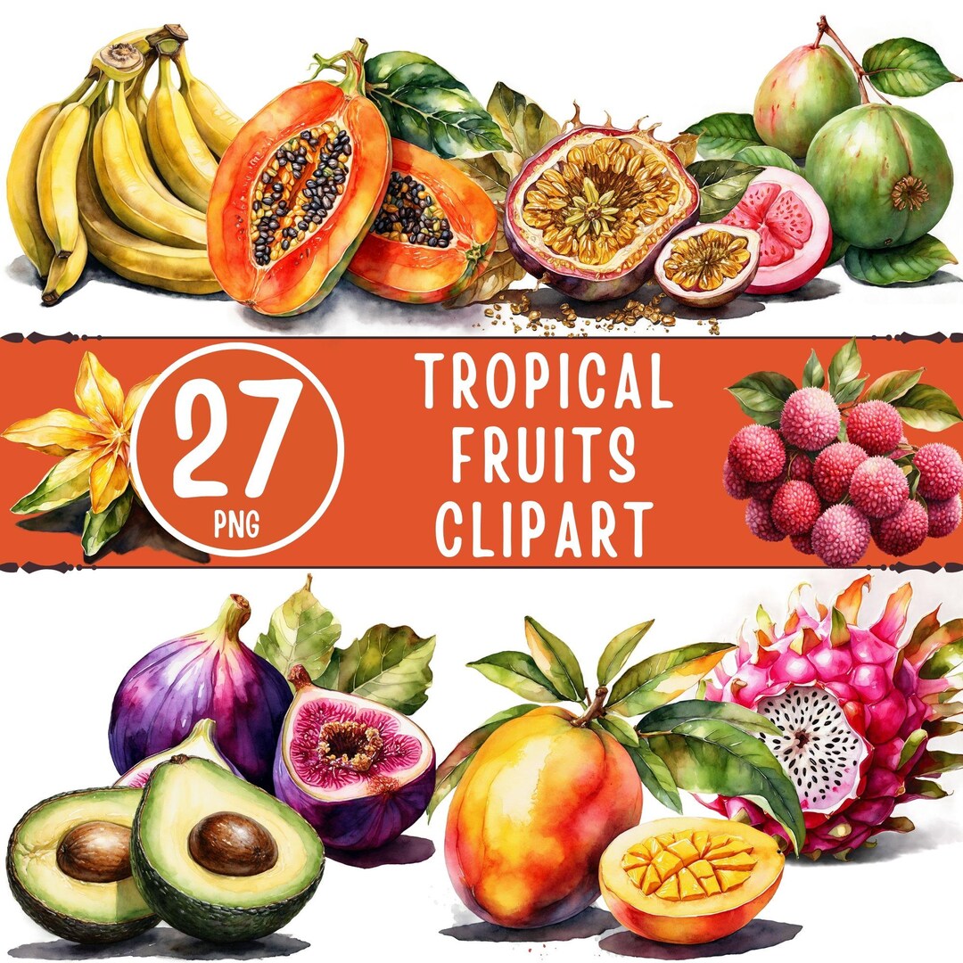 Tropical Fruits Clipart Bundle – 27 Watercolor Summer Fruit Graphics ...