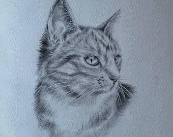 Custom Pet Portrait Pencil Drawing: Realistic Cat Dog Sketch from Photo