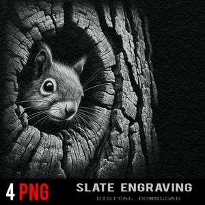 May include: Black and white digital illustration of a squirrel peeking out from a tree hollow. The squirrel's fur is detailed, and the tree bark is textured. The image includes the text "4 PNG" and "SLATE ENGRAVING DIGITAL DOWNLOAD."
