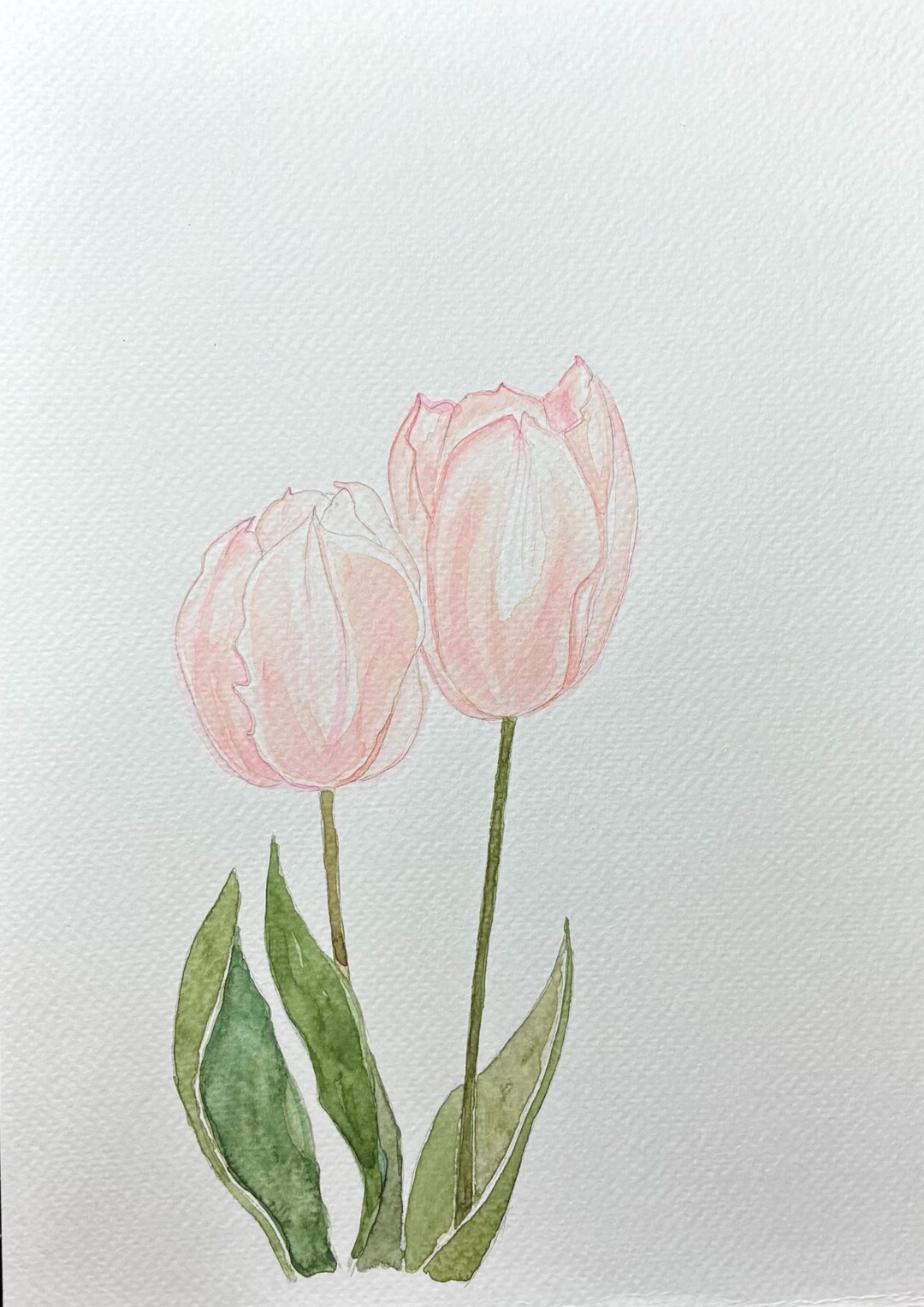 Soft Pink Tulips Watercolor Print | Minimal Botanical Flower Art ...