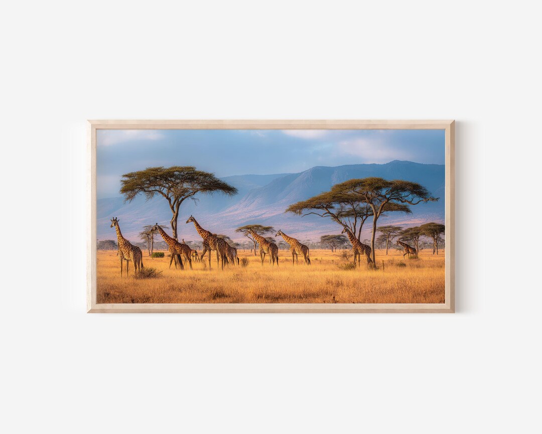 Serengeti Giraffe Herd Wall Art, African Safari Canvas Print, Wildlife ...